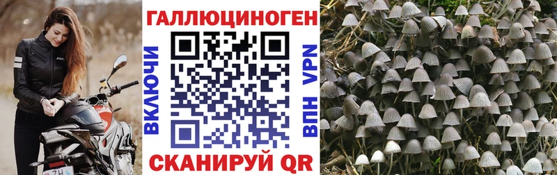 Галлюциногенные грибы ЛСД Бутурлиновка